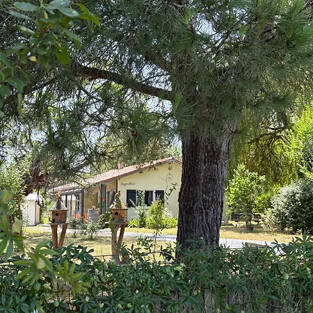 Nyaraló Confort Et Ecrin De Verdure ! *