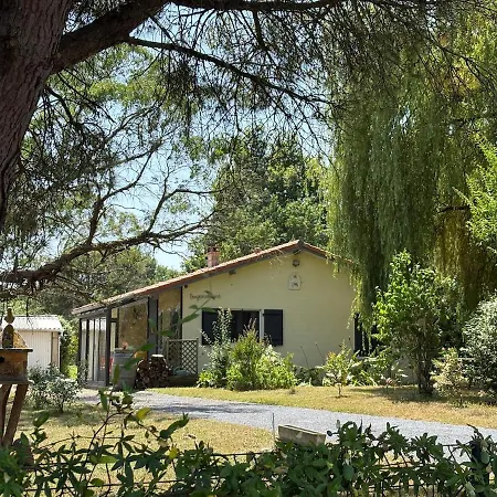 Nyaraló Confort Et Ecrin De Verdure !