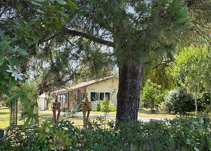 Nyaraló Confort Et Ecrin De Verdure ! *