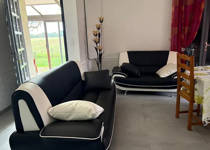 Confort Et écrin De Verdure ! *