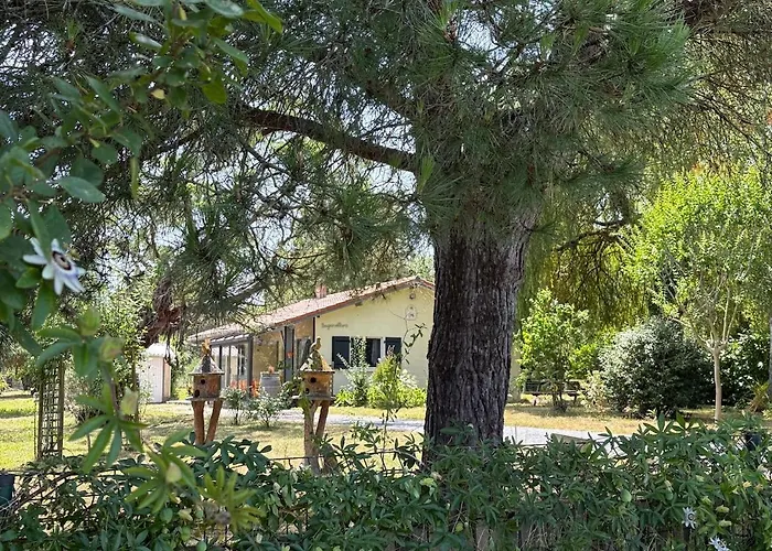 Confort Et écrin De Verdure !